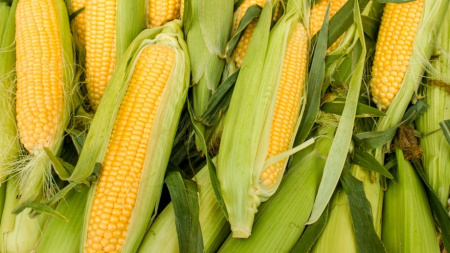 Котлеты из белой кукурузы Вкусное Дело 500г